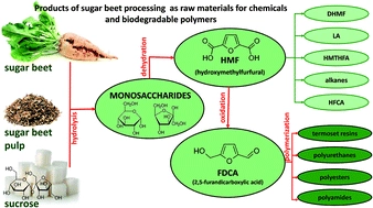 Products of sugar beet processing as raw materials for chemicals and biodegradable polymers