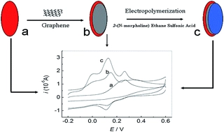 Simultaneous voltammetric detection of dopamine, ascorbic acid and uric acid using a poly(2-(N-morpholine)ethane sulfonic acid)/RGO modified electrode
