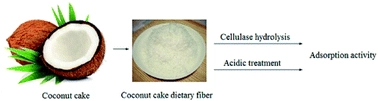 Adsorption activity of coconut (Cocos nucifera[space]L.) cake dietary fibers: effect of acidic treatment, cellulase hydrolysis, particle size and pH