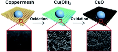 Evolution of copper oxide nanoneedle mesh with subtle regulated lyophobicity for high efficiency liquid separation