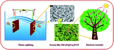 Forest-like NiCoP@Cu3P supported on copper foam as a bifunctional catalyst for efficient water splitting