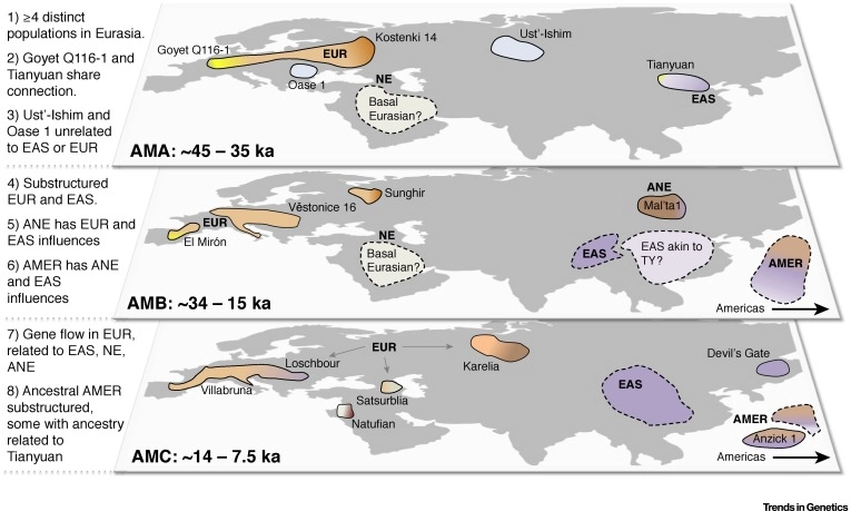 Insights into Modern Human Prehistory Using Ancient Genomes