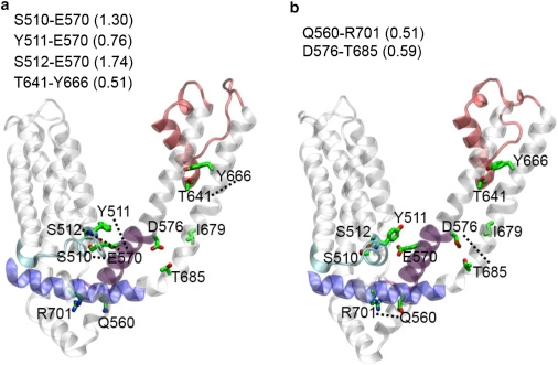 Decrypting the Heat Activation Mechanism of TRPV1 Channel by Molecular Dynamics Simulation
