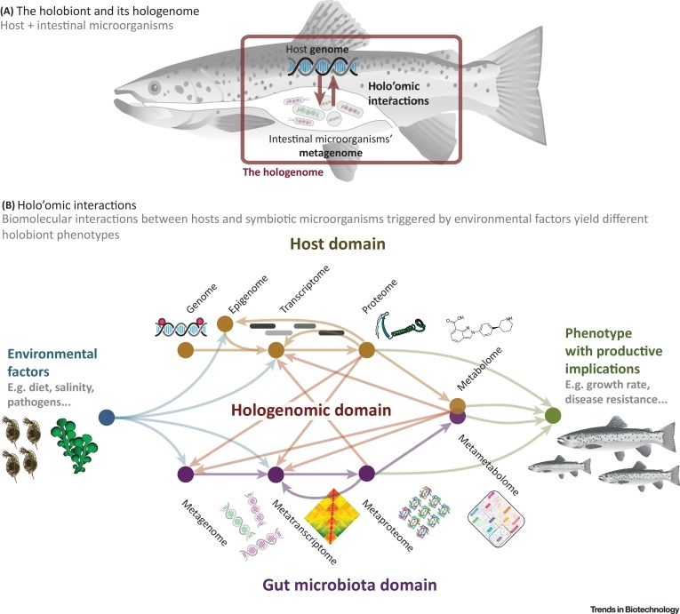 Applied Hologenomics: Feasibility and Potential in Aquaculture