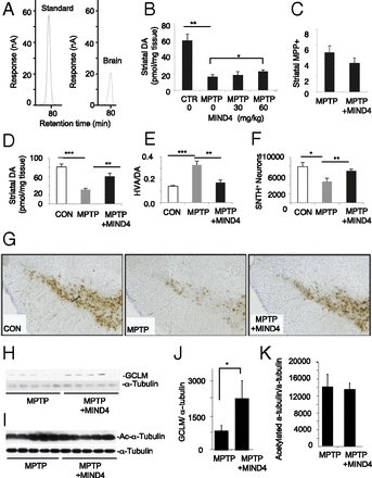 KEAP1-modifying small molecule reveals muted NRF2 signaling responses in neural stem cells from Huntington's disease patients [Neuroscience]