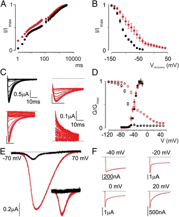 Pharmacology of the Nav1.1 domain IV voltage sensor reveals coupling between inactivation gating processes [Biophysics and Computational Biology]