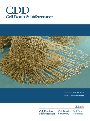 Cell Death and Differentiation