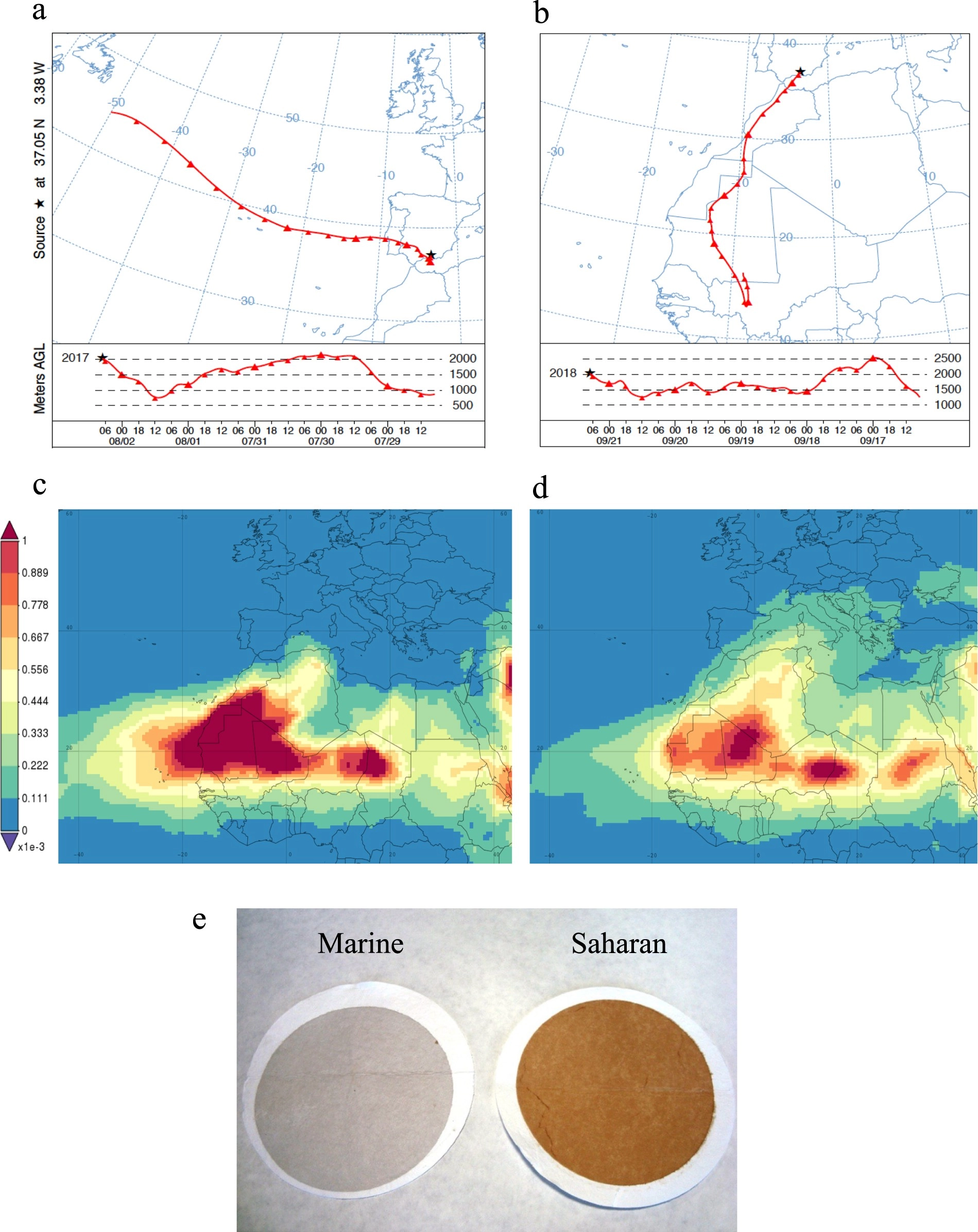 Deposition rates of viruses and bacteria above the atmospheric boundary layer