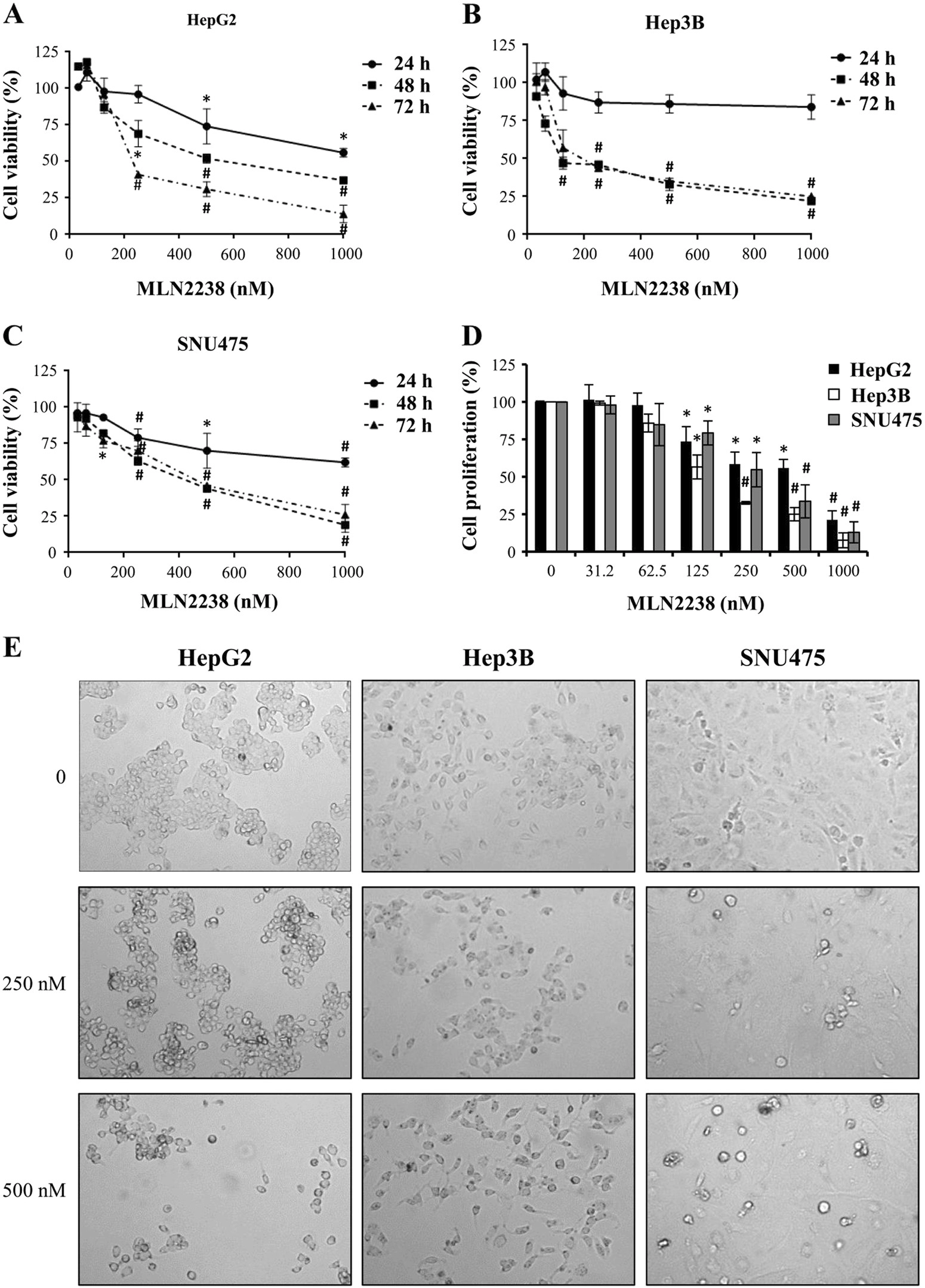 Preclinical evaluation of antitumor activity of the proteasome inhibitor MLN2238 (ixazomib) in hepatocellular carcinoma cells