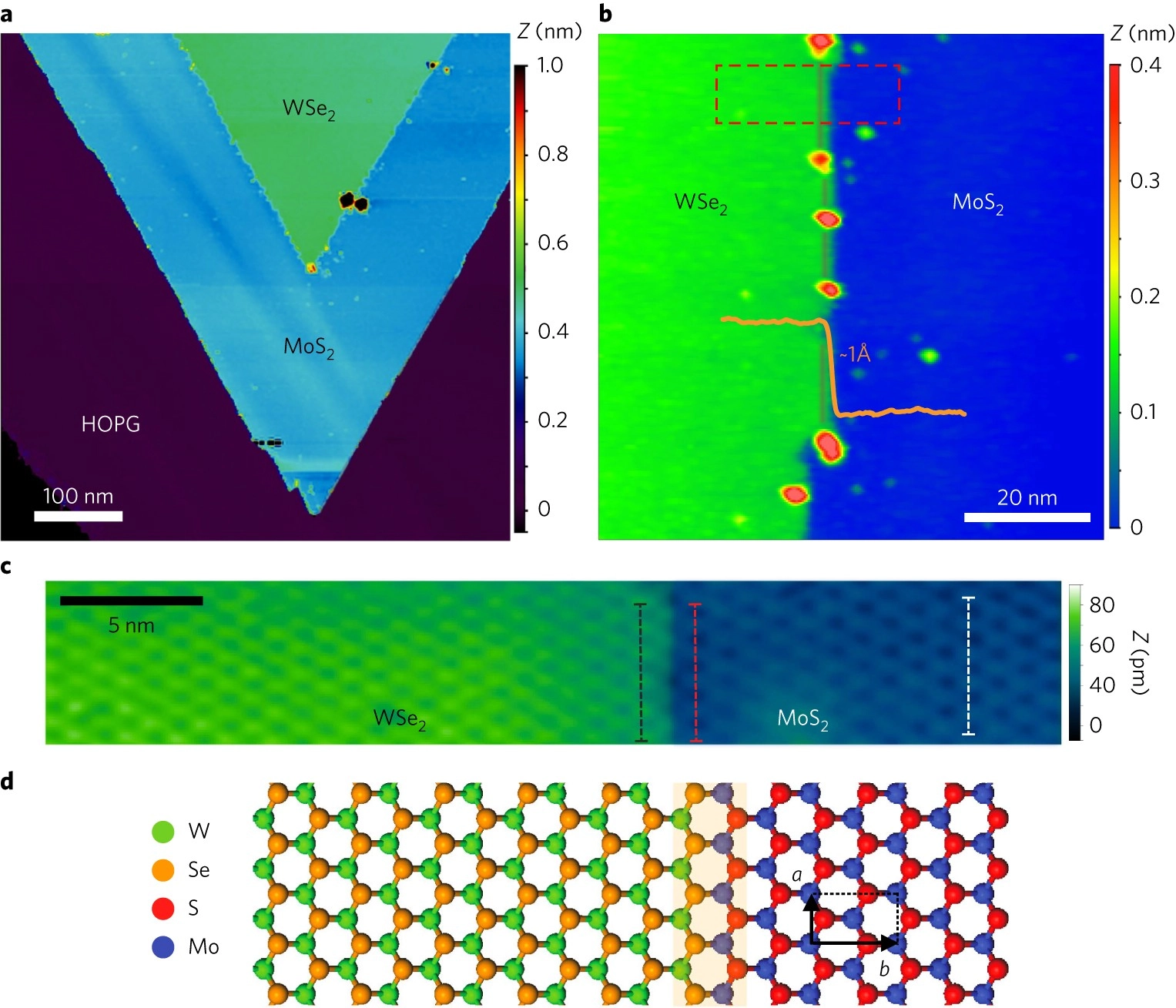 Strain distributions and their influence on electronic structures of WSe2–MoS2 laterally strained heterojunctions