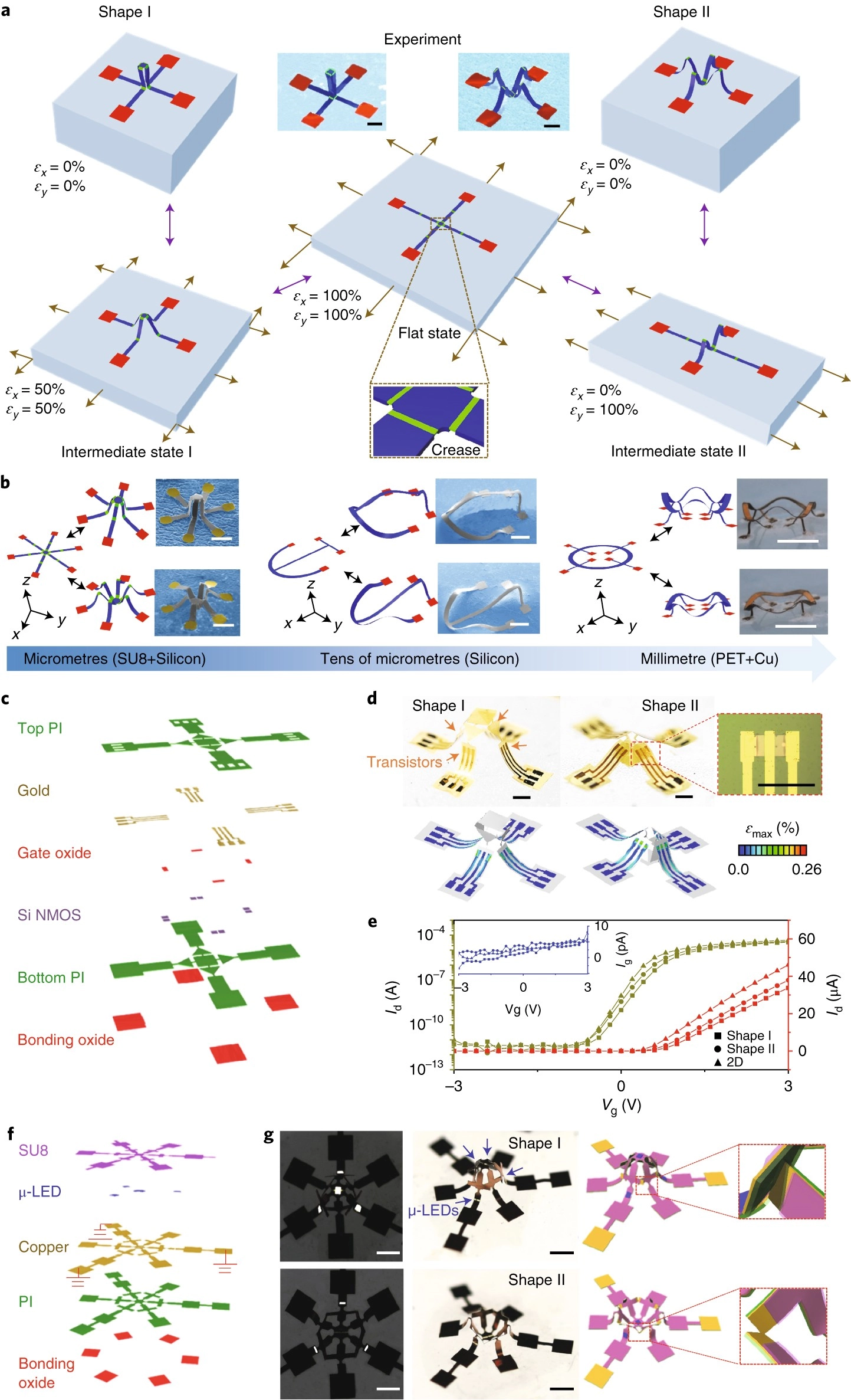 Morphable 3D mesostructures and microelectronic devices by multistable buckling mechanics