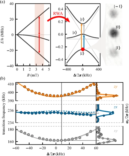 Synthetic clock transitions via continuous dynamical decoupling