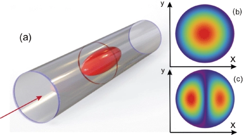 Coexistence of collapse and stable spatiotemporal solitons in multimode fibers