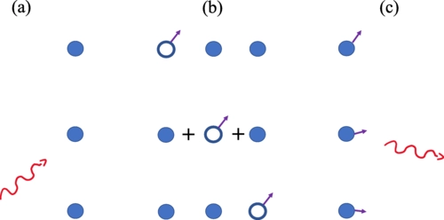 Atom recoil during coherent light scattering from many atoms