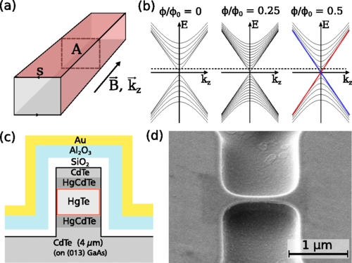 Probing spin helical surface states in topological HgTe nanowires