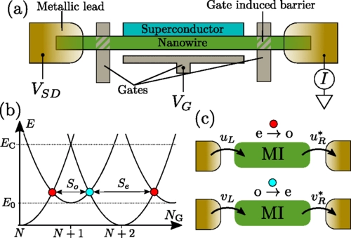 Probing electron-hole components of subgap states in Coulomb blockaded Majorana islands