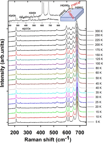 Probing the role of ${\mathrm{Nd}}^{3+}$ ions in the weak multiferroic character of ${\mathrm{NdMn}}_{2}{\mathrm{O}}_{5}$ by optical spectroscopies