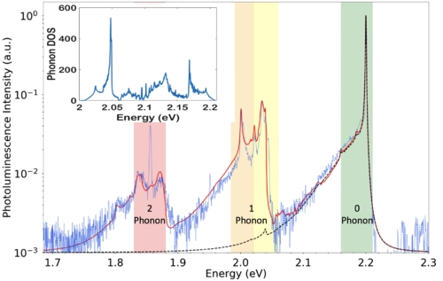 Phonon-induced multicolor correlations in hBN single-photon emitters