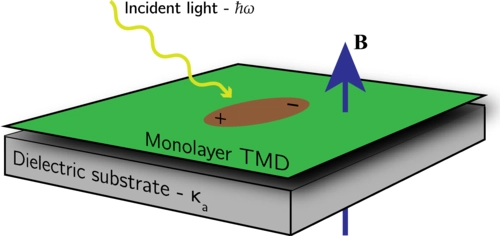 Monolayer transition metal dichalcogenides in strong magnetic fields: Validating the Wannier model using a microscopic calculation