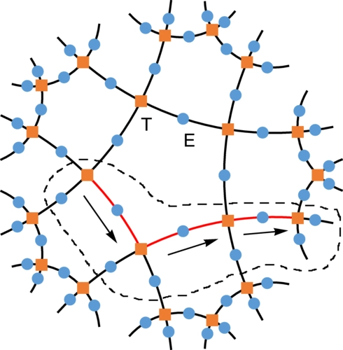 Quantum error correction and entanglement spectrum in tensor networks