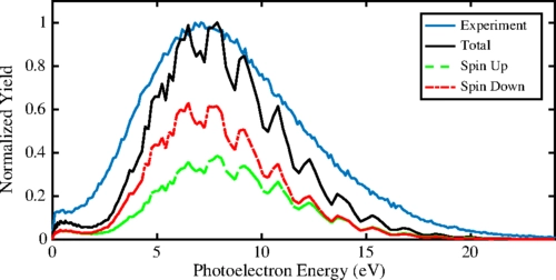 Energy- and Momentum-Resolved Photoelectron Spin Polarization in Multiphoton Ionization of Xe by Circularly Polarized Fields