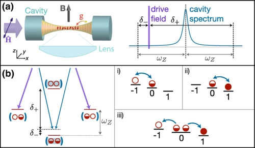 Photon-Mediated Spin-Exchange Dynamics of Spin-1 Atoms
