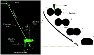 Laser sintering of polymer particle pairs studied by in situ visualization