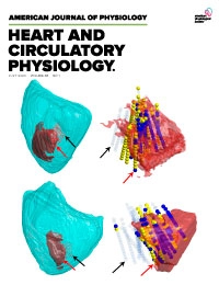 American Journal of Physiology - Heart and Circulatory Physiology