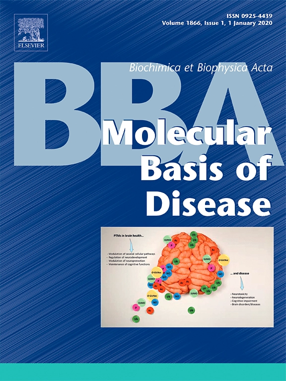 Biochimica et Biophysica Acta - Molecular Basis of Disease