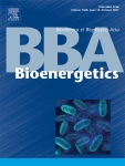 Biochimica et Biophysica Acta - Bioenergetics