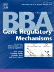 Biochimica et Biophysica Acta - Gene Regulatory Mechanisms