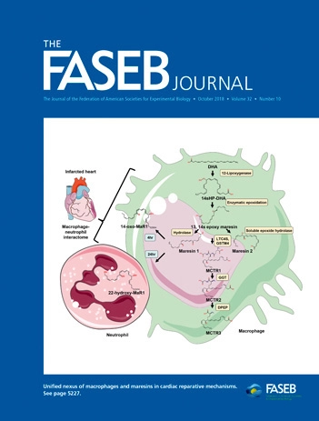 THE FASEB JOURNAL