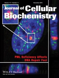 Journal of Cellular Biochemistry