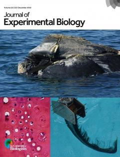 Journal of Experimental Biology