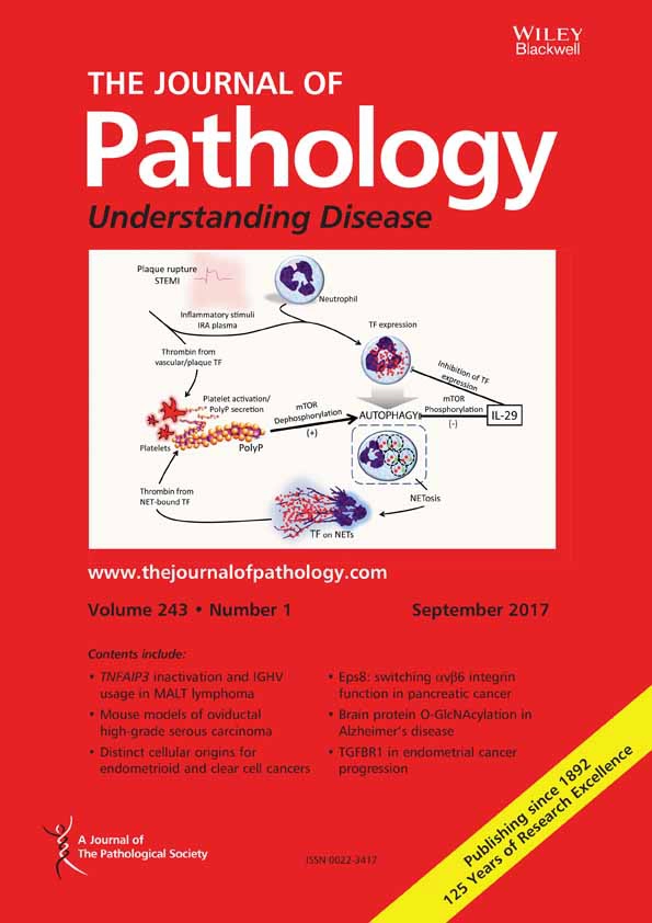 The Journal of Pathology