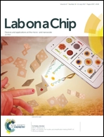 Lab on a Chip - Miniaturisation for Chemistry and Biology