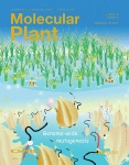 Molecular Plant