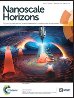 Nanoscale Horizons