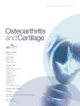 Osteoarthritis and Cartilage
