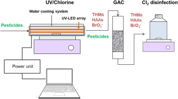 Wetland Svaghed munching Disinfection by-product formation during UV/Chlorine treatment of pe