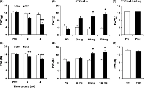 Alpha‐lipoic acid downregulates TRPV1 receptor via NF‐κB and attenuates neuropathic pain in rats with diabetes