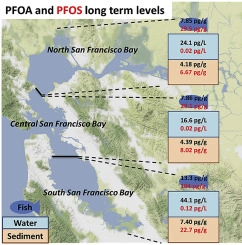Multi-box mass balance model of PFOA and PFOS in different regions of San Francisco Bay