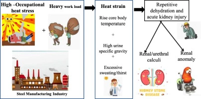Risk of kidney stone among workers exposed to high occupational heat stress - A case study from southern Indian steel industry