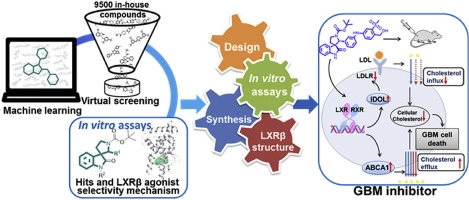 Discovery of new LXRβ agonists as glioblastoma inhibitors
