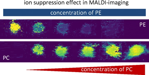 [ASAP] Charge Distribution between Different Classes of Glycerophospolipids in MALDI-MS Imaging