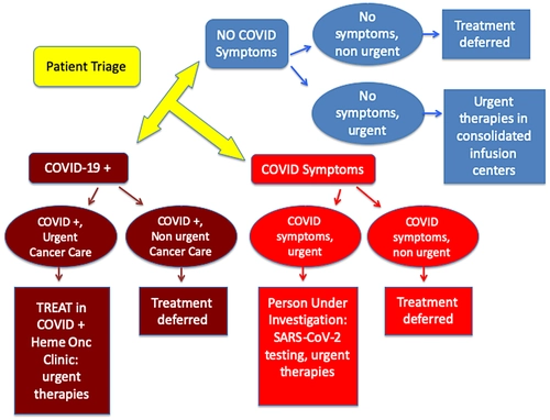 Hematology and oncology clinical care during the coronavirus disease 2019 pandemic