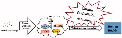 Determination of veterinary drug residues in food of animal origin:
