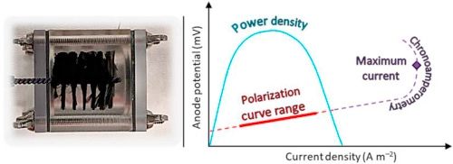 Chronoamperometry and linear sweep voltammetry reveals the adverse i